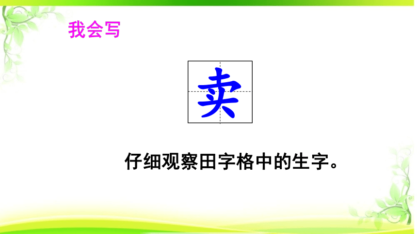 21 青蛙卖泥塘 课件(共31张PPT)