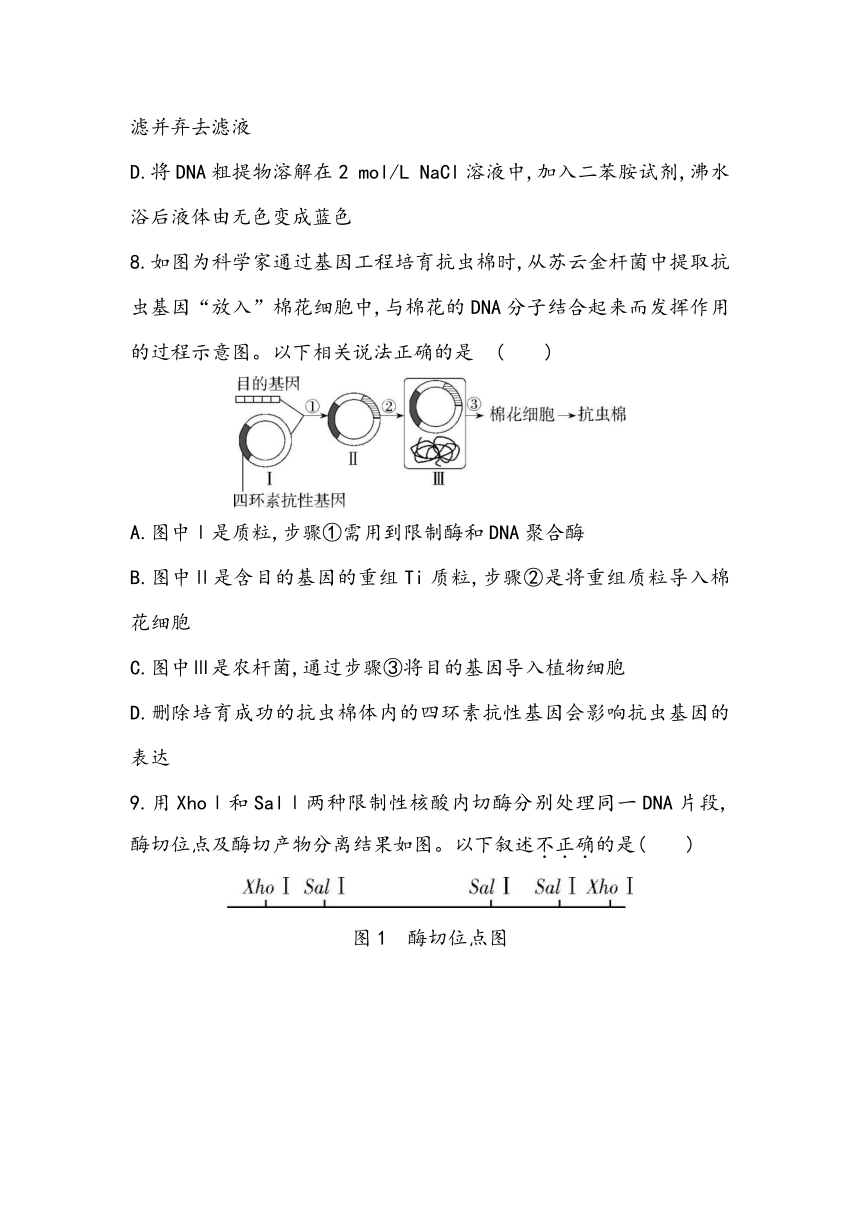 第3章《基因工程》章节小测2023~2024学年高中生物人教版（2019）选择性必修3（含答案）