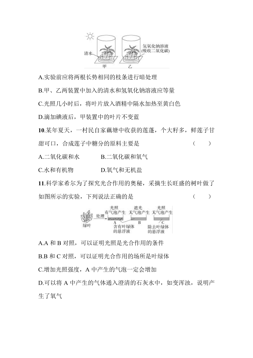 2.1.3　绿色植物的光合作用素养提升练（含解析）山东省济南市济南版生物七年级上册