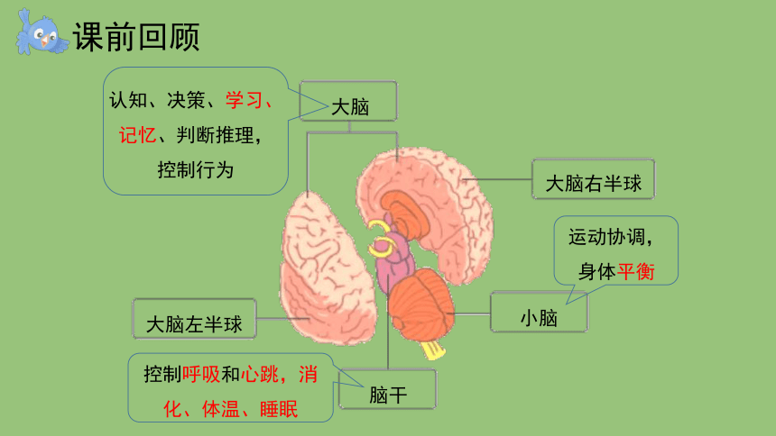 科学大象版（2017秋）五年级上册2.4 脑的保健 课件（共11张PPT+视频）