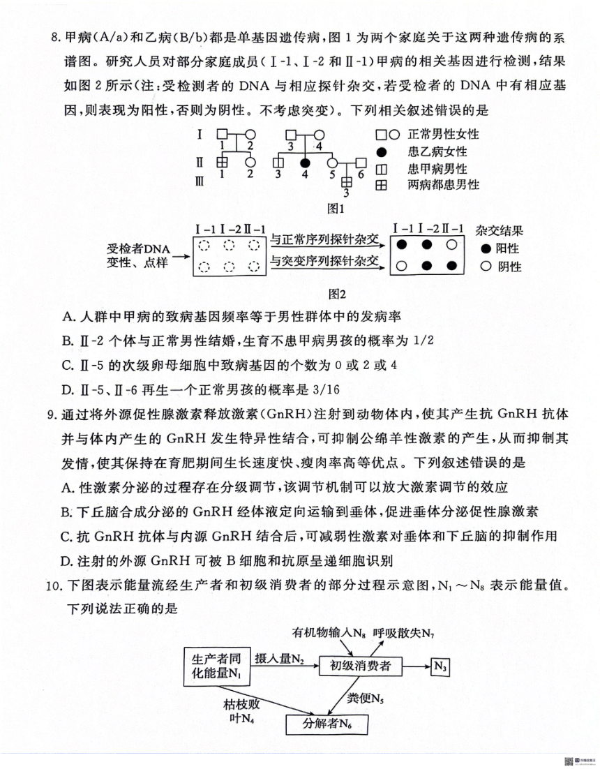 2024届河北省沧州市泊头市高三八县联考一模生物试题（PDF，无答案）