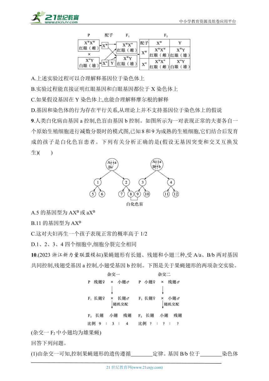 2025浙科版新教材生物学高考第一轮基础练--作业25　基因伴随染色体传递（含解析）