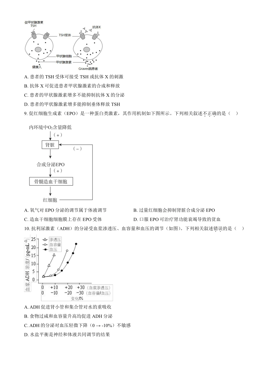 2023北京第一六一中高二（上）期中生物（解析版）