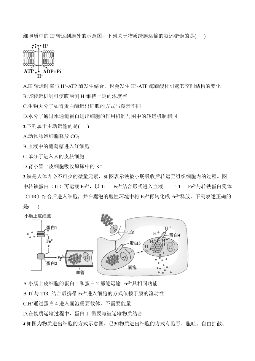 4.2主动运输与胞吞、胞吐学案(含答案）