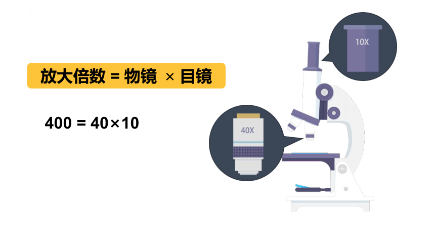 5.5显微镜和望远镜课件(共15张PPT)2023-2024学年人教版八年级物理上册