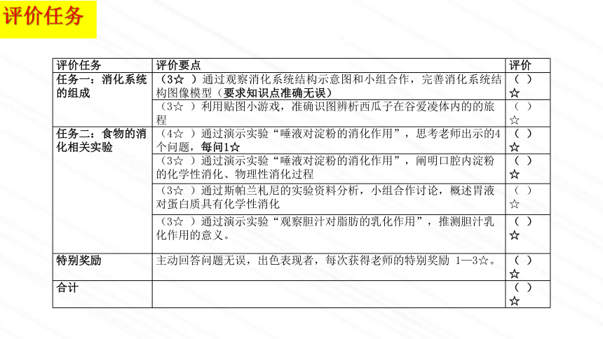 3.1.2消化和吸收 第二课时 课件 (共19张PPT)  济南版生物七年级下册