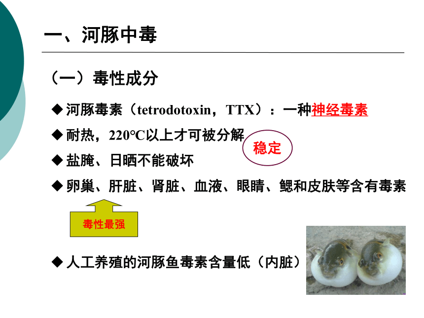 12食源性疾病及其预防-2 课件(共33张PPT)- 《营养与食品卫生学》同步教学（人卫版·第7版）