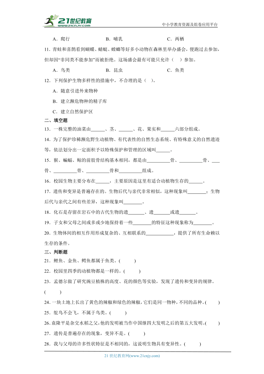 教科版六年级下册科学第二单元生物的多样性综合训练（含答案）