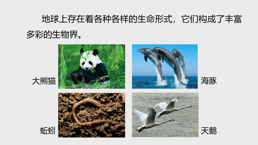 2.1 生物与非生物（课件 30张PPT）