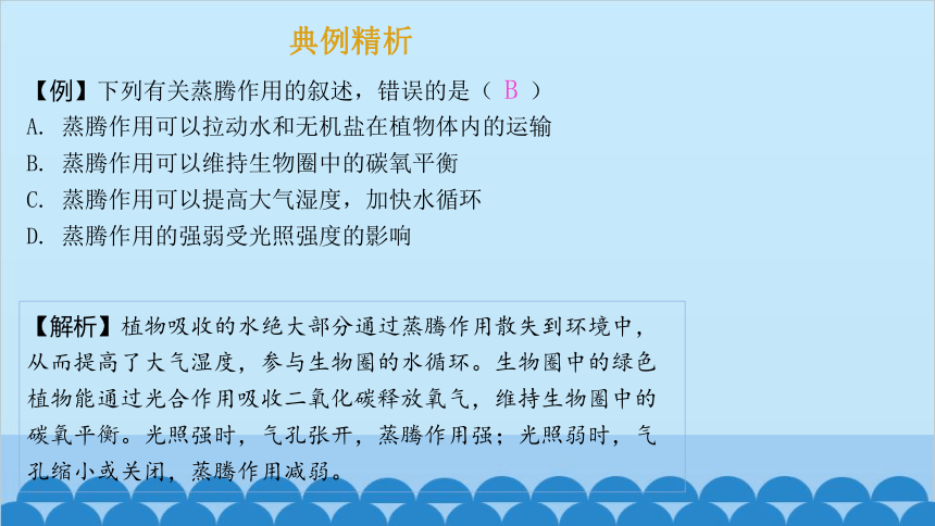 3.7.2 绿色植物与生物圈的物质循环课件(共13张PPT)苏教版生物七年级上册