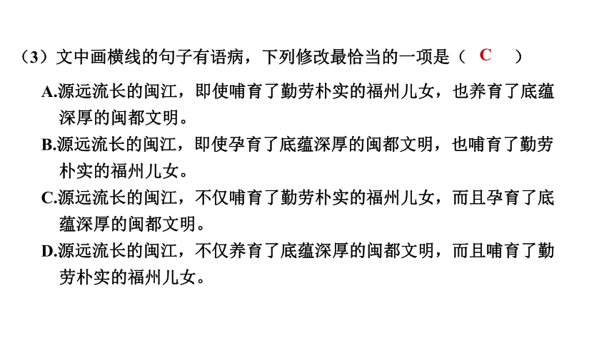 语段综合练-2024年中考语文一轮复习专题课件(共70张PPT)