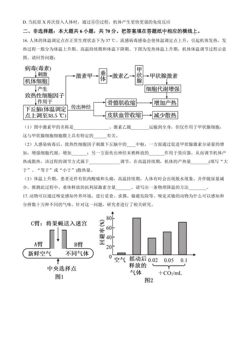 2023北京第一六一中高二（上）期中生物（解析版）