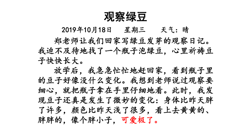 四年级上册语文第三单元 习作：写观察日记   第二课时  课件(共11张PPT)