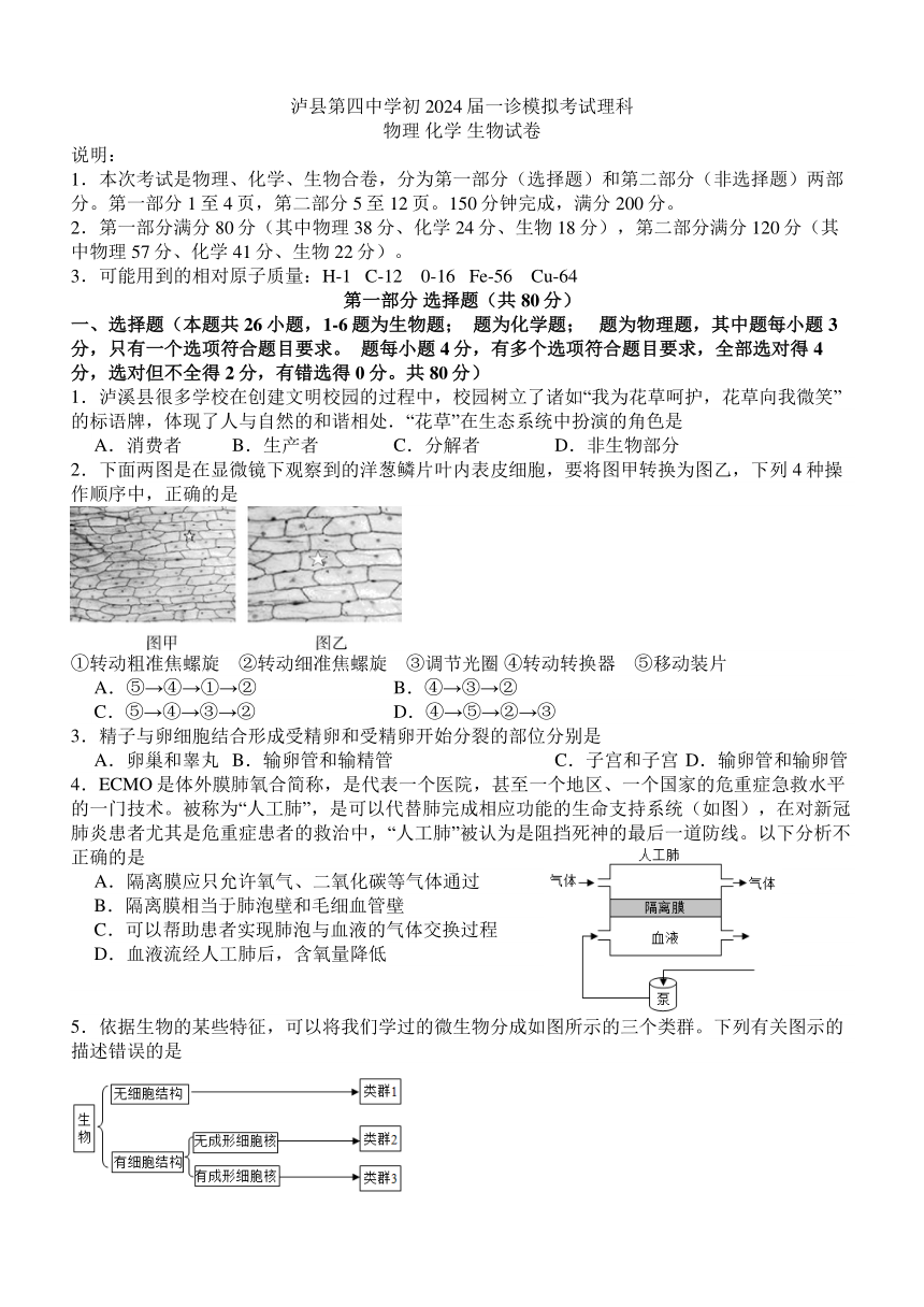 2023-2024学年四川省泸州市泸县四九年级（上）月考综合试卷（一模）（含答案）