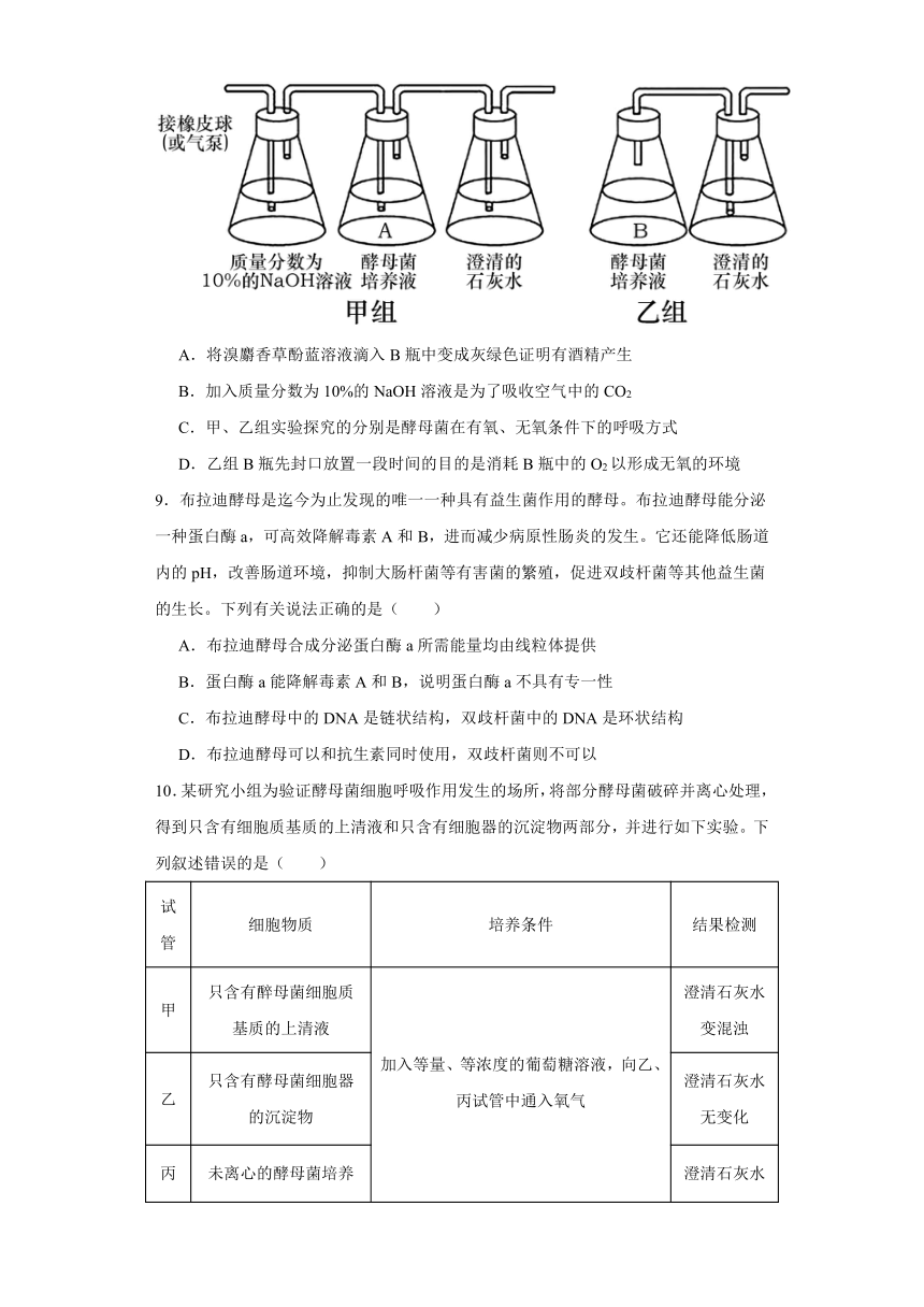 5.3细胞呼吸的原理和应用测试题（含解析）2023-2024学年高中生物学人教版（2019）必修1