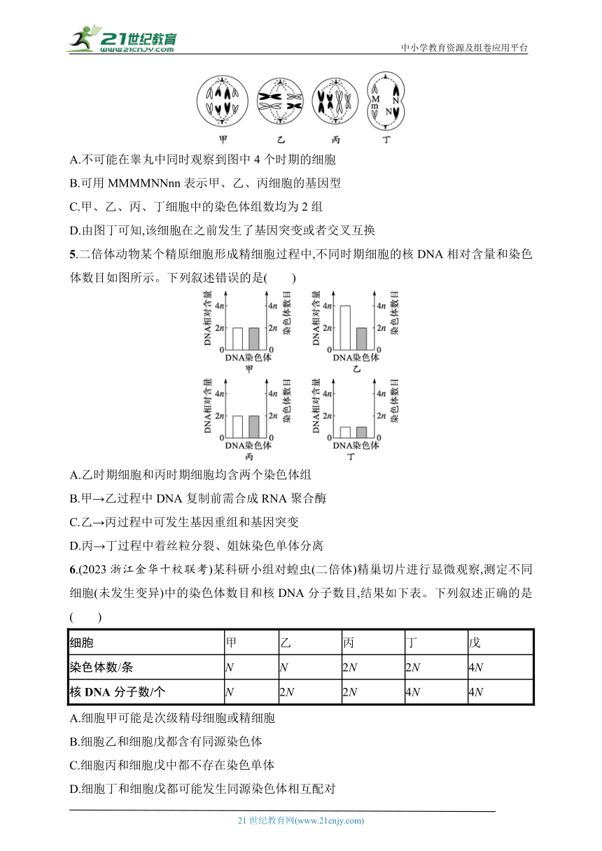 2025浙科版新教材生物学高考第一轮基础练--作业19　减数分裂与有丝分裂的综合分析（含解析）