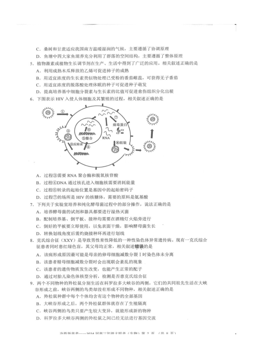 江苏省决胜新高考2024届高三上学期10月大联考生物（PDF版含解析）