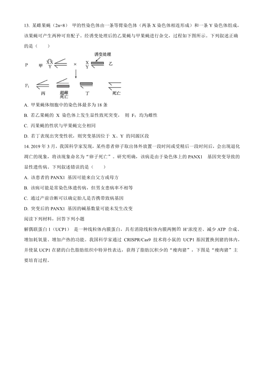 浙江省强基联盟2023-2024学年高三上学期9月联考生物学试题（原卷版+解析版）