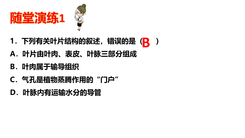 第三单元第三、四、五章章末复习-八年级生物上册同步精品课堂(冀少版)(共41张PPT)