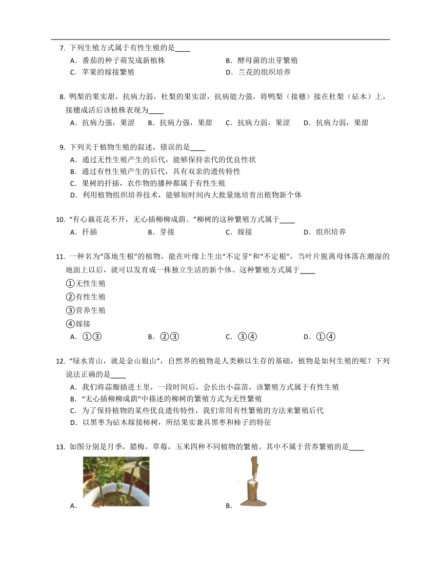 10.4生物生殖的多种方式同步练习（含答案）北京版生物八年级上册