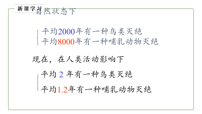 6.3 保护生物多样性课件（共31张PPT）人教版八年级生物上册