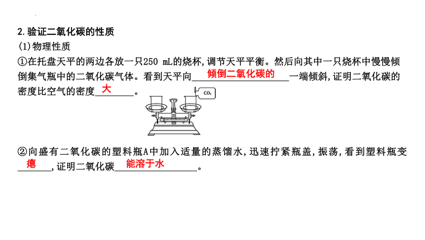 到实验室去 二氧化碳的实验室制取与性质课件(共29张PPT)---2023--2024学年九年级化学鲁教版上册