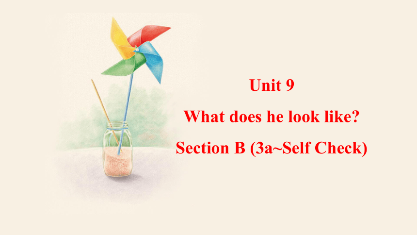 Unit 9  What does he look like Section B 3a-Self Check课件(共20张PPT) 人教版英语七年级下册