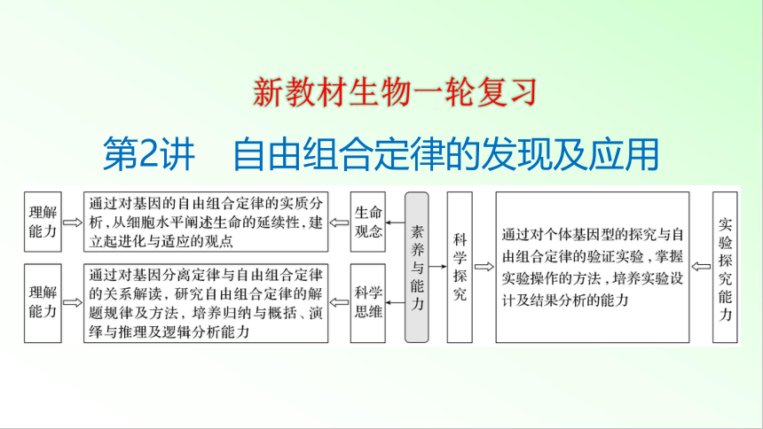 新教材生物一轮复习课件：第5单元 基因的传递规律 第2讲　自由组合定律的发现及应用(共88张PPT)