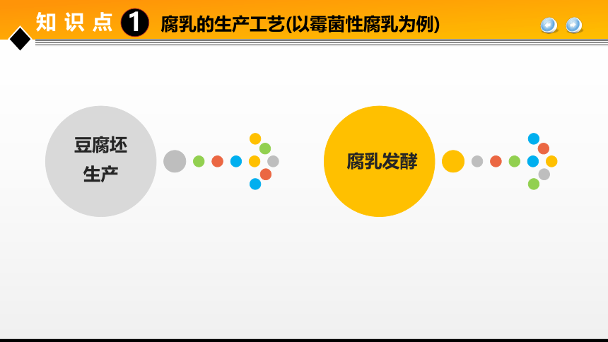 项目５ 任务3发酵豆制品生产技术 课件(共29张PPT)- 《食品加工技术》同步教学（大连理工版）