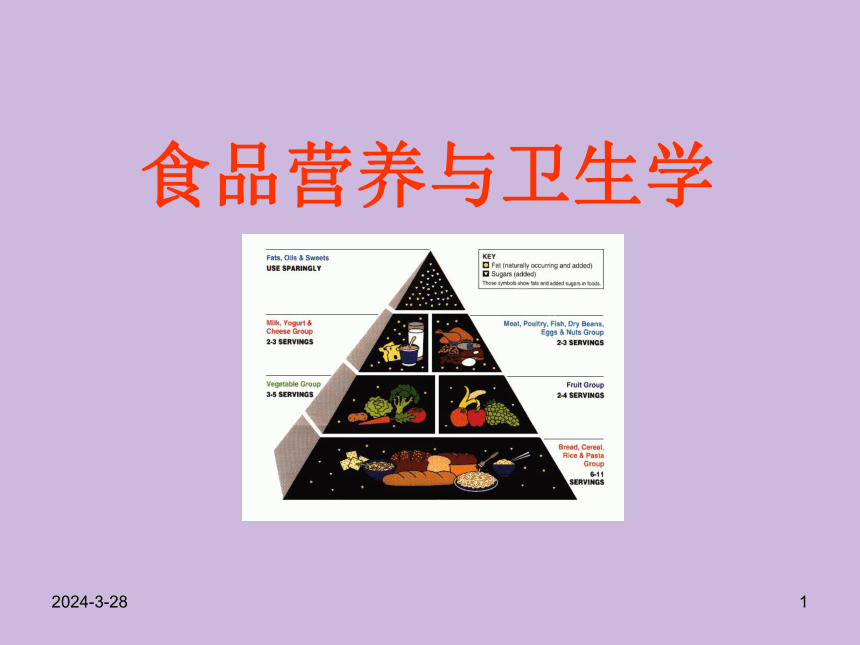 2.6 维生素 课件(共56张PPT)- 《食品营养与卫生学》同步教学（轻工业版）