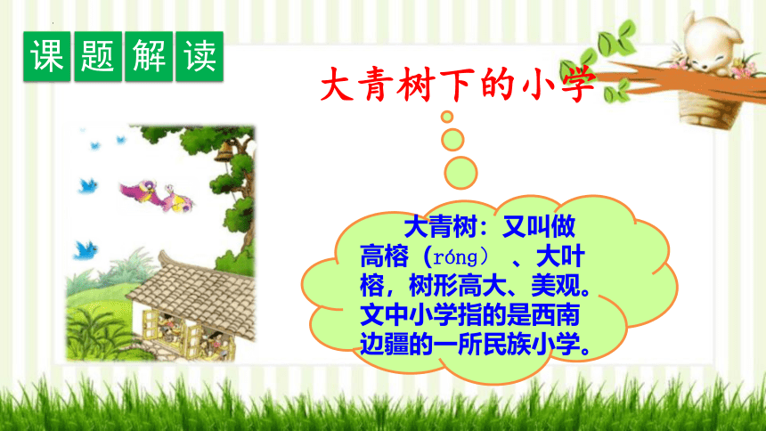 1《大青树下的小学》课件(共26张PPT)