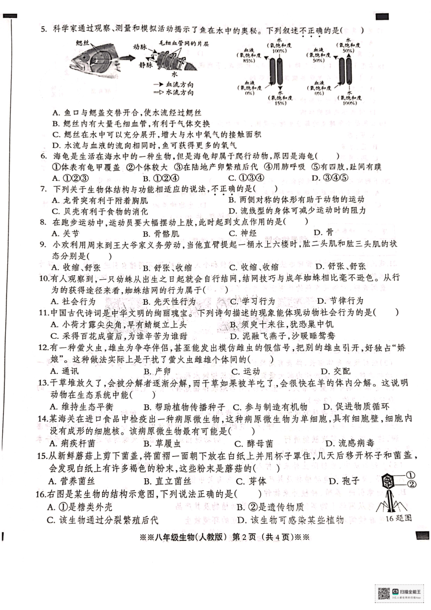 河北省沧州市献县第五中学，现代中学2023-2024学年八年级上学期12月月考生物试题（PDF版含答案）