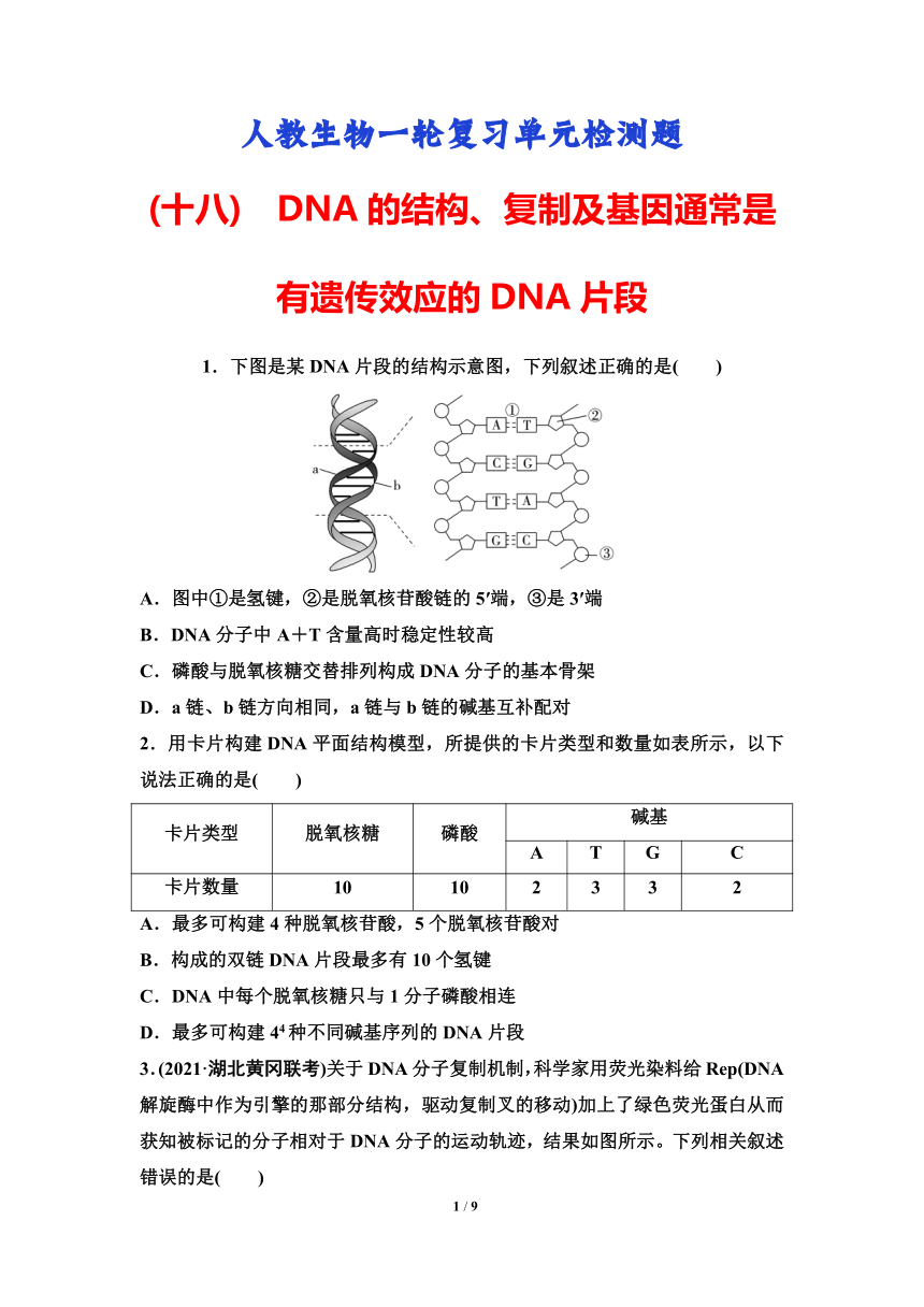 人教版（2019)高中生物一轮复习检测题：专题18　DNA的结构、复制及基因通常是有遗传效应的DNA片段（含解析）