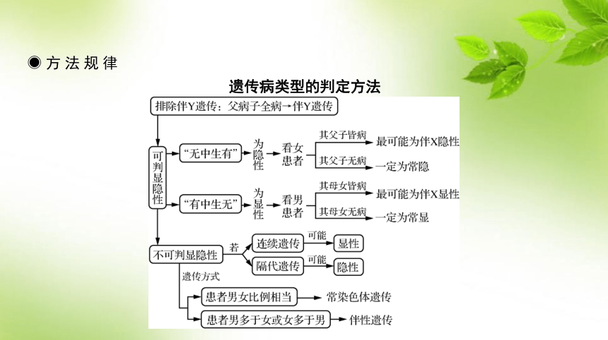 人教高考生物一轮复习课件：第20讲　人类遗传病(共47张PPT)