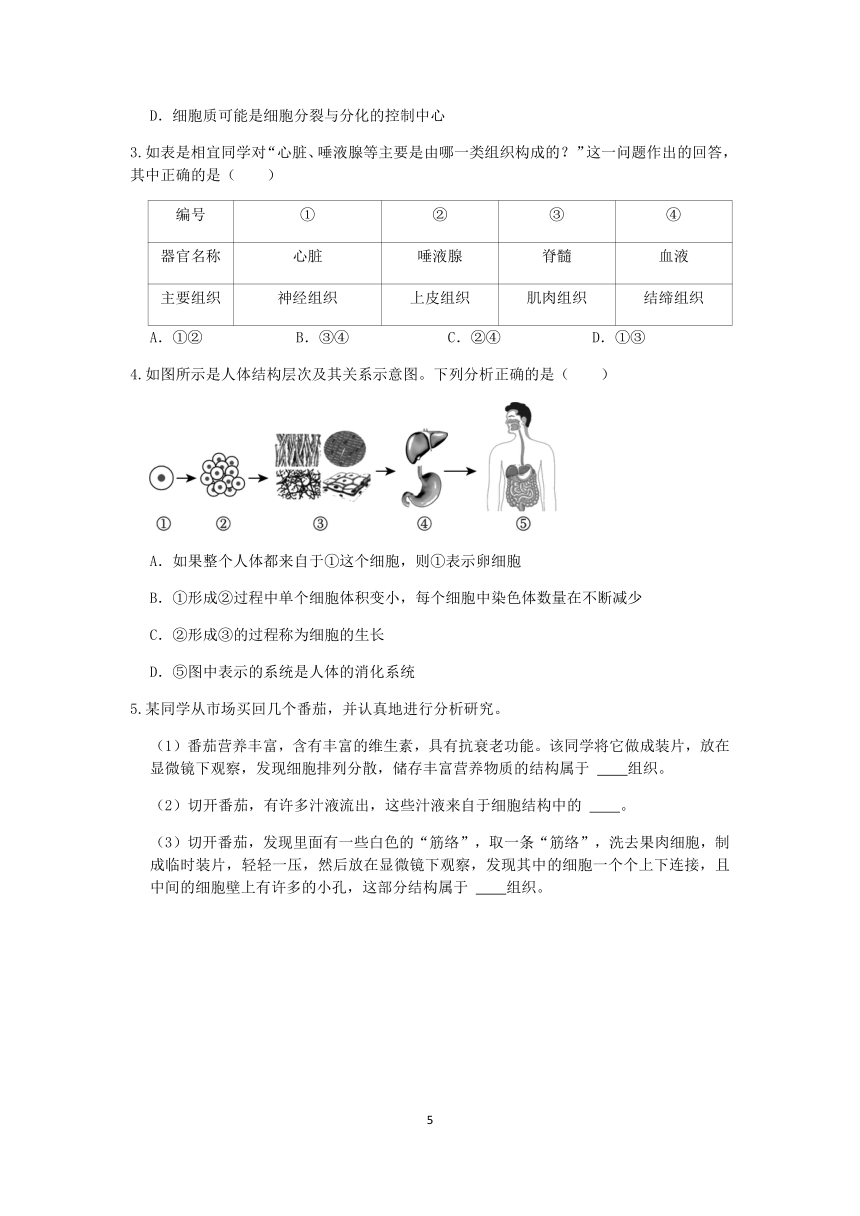 浙教版科学2023-2024学年上学期七年级“冲刺重高”讲义（九）：生物体的结构层次（含解析）