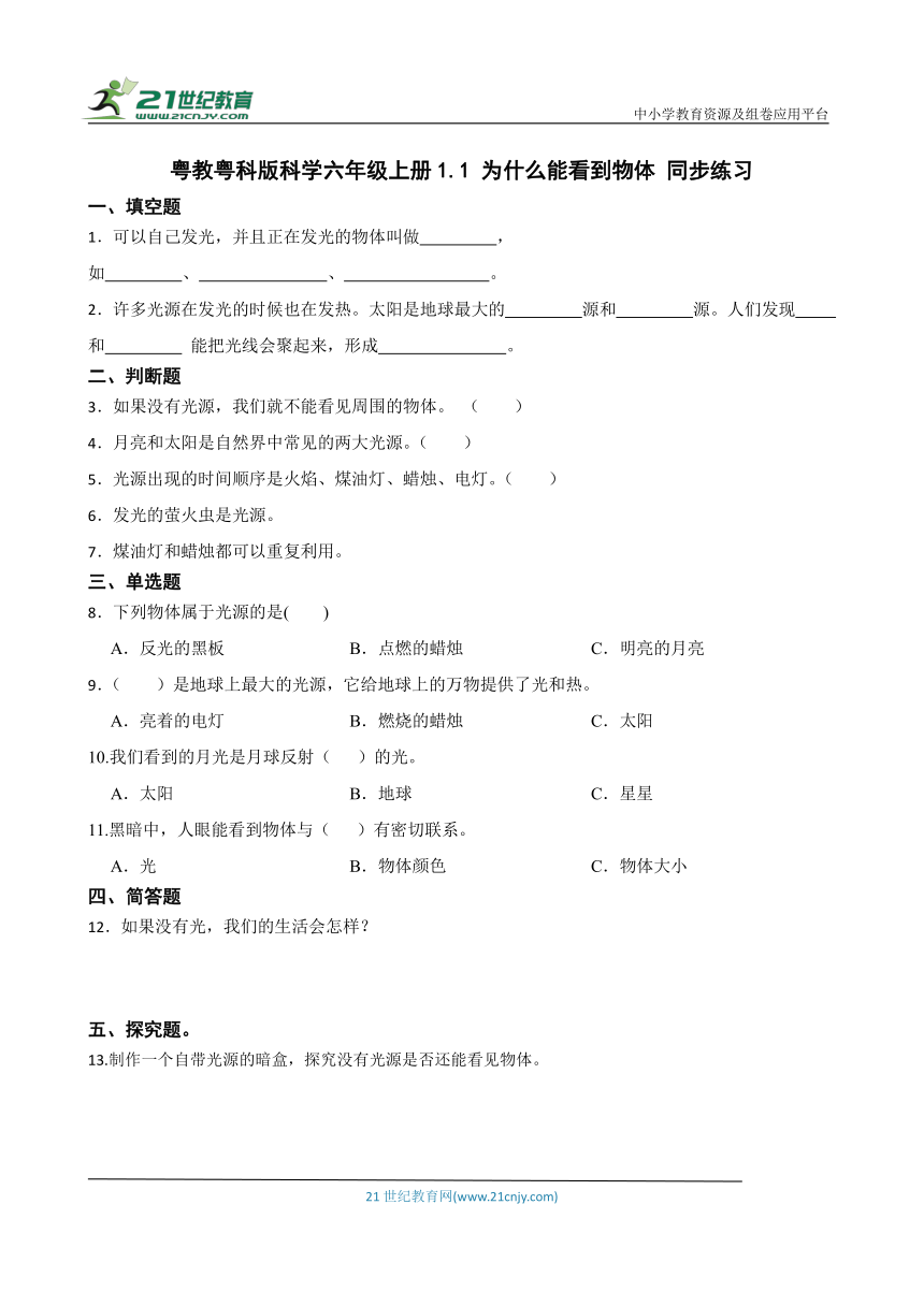 粤教粤科版科学六年级上册1.1 为什么能看到物体 同步练习（含答案）