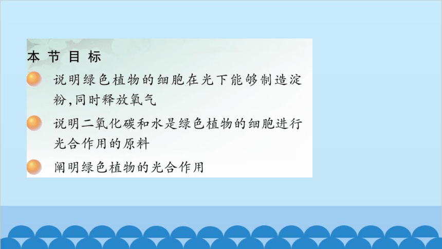 3.6.3  植物光合作用的实质课件 (共18张PPT) 苏教版生物七年级上册