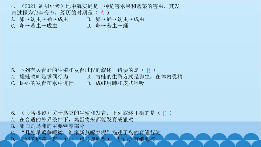 第七单元 单元知识集中训练测试 课件（共13张PPT）人教版生物八年级下册