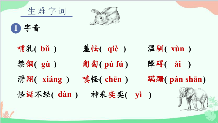 统编版语文七年级上册 17 动物笑谈  课件(共16张PPT)