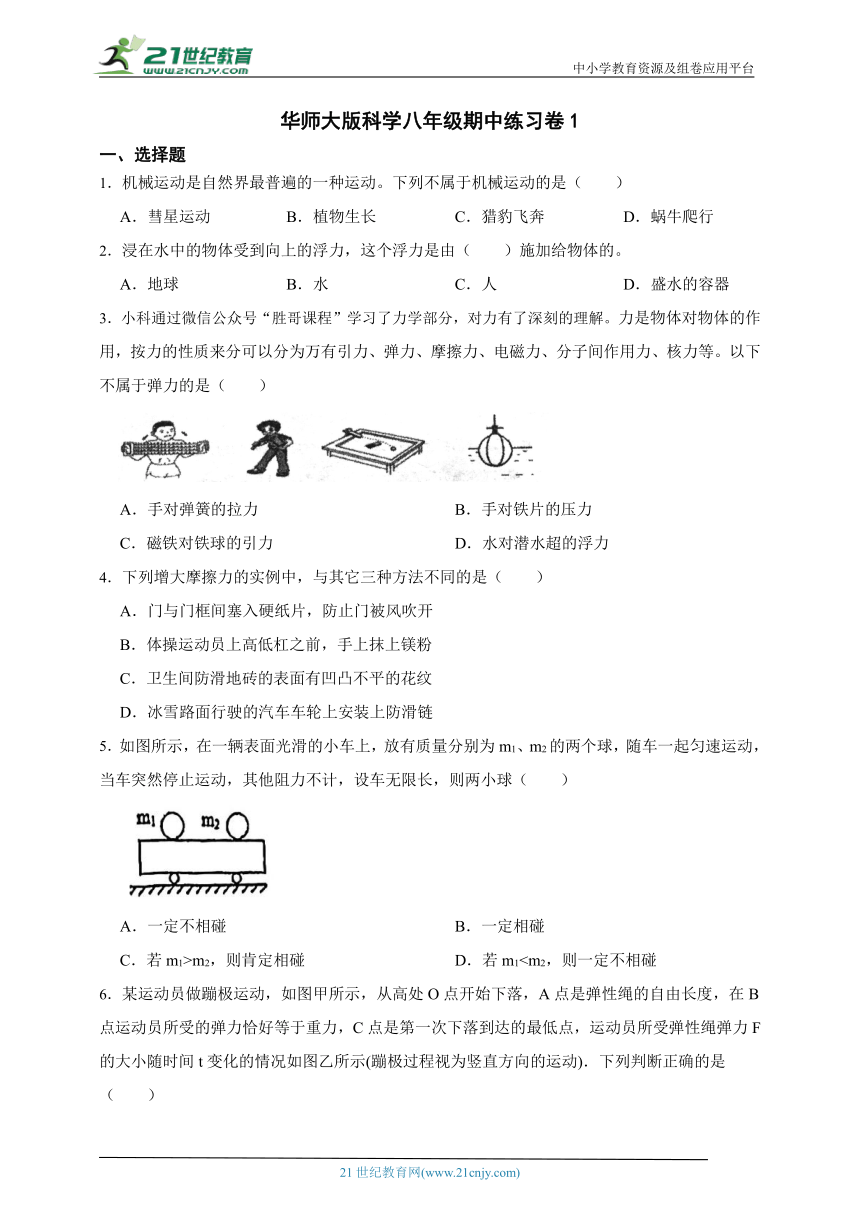 华师大版科学八年级期中练习卷1（含答案）