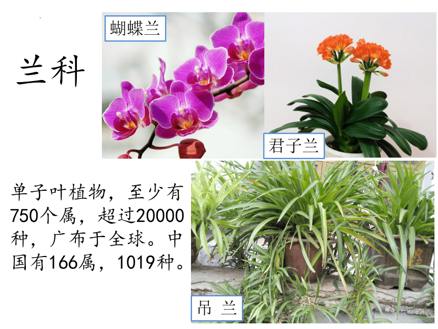 开学第一课---致同学们课件(共32张PPT)人教版生物七年级上册