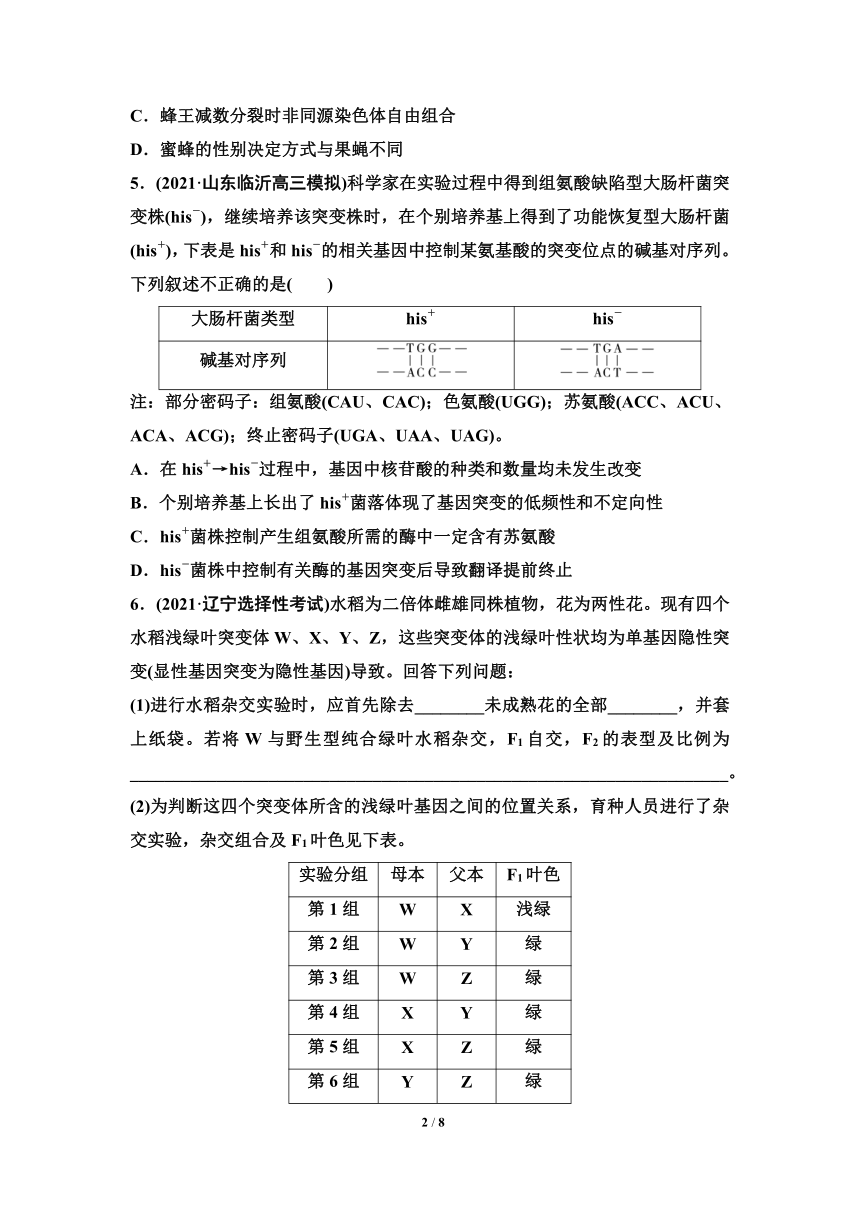 人教版（2019)高中生物一轮复习检测题：专题20　基因突变和基因重组（含解析）