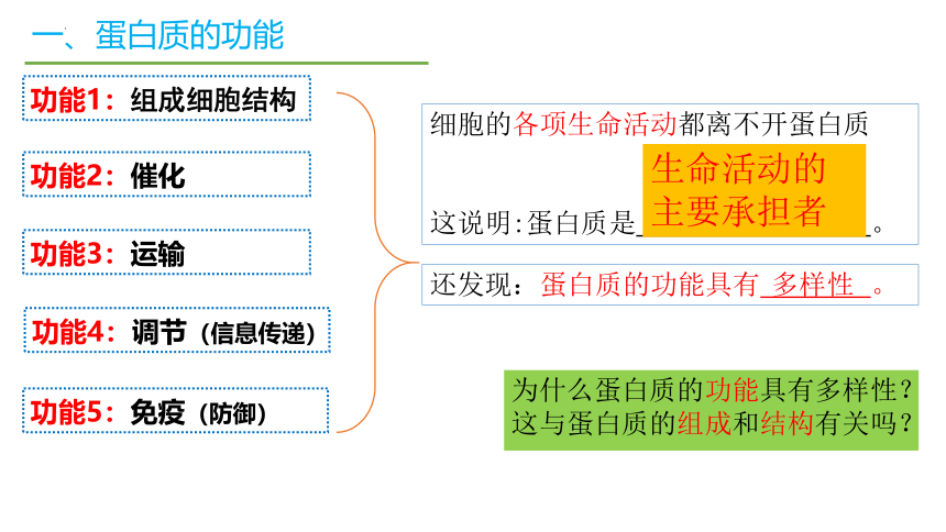 2.4蛋白质是生命活动的主要承担者课件(共51张PPT)2023-2024学年高一上学期生物人教版必修1