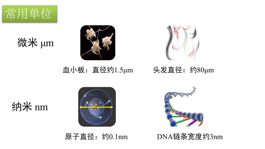 人教版 初中物理 八年级上册 1.1 长度和时间的测量（第1课时）长度的测量 课件 (共26张PPT)