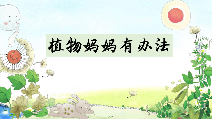 3 植物妈妈有办法  课件(共42张PPT)