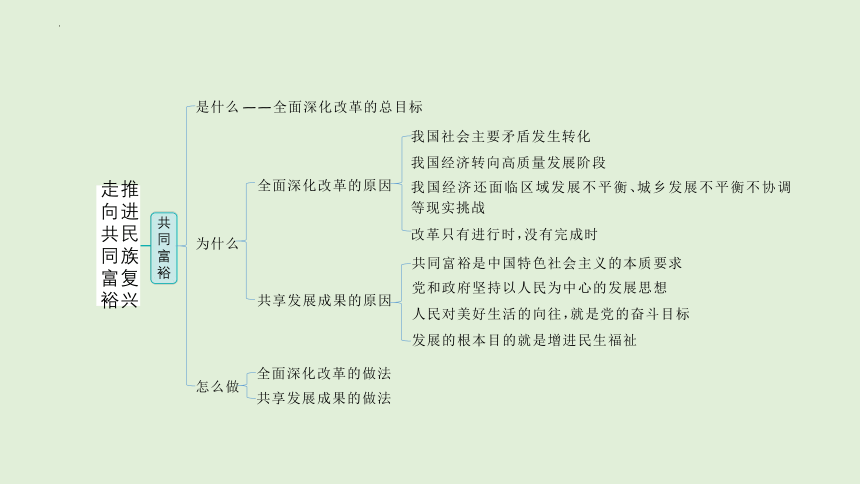 2024年中考道德与法治二轮总复习课件(共58张PPT)：走向共同富裕  推进民族复兴