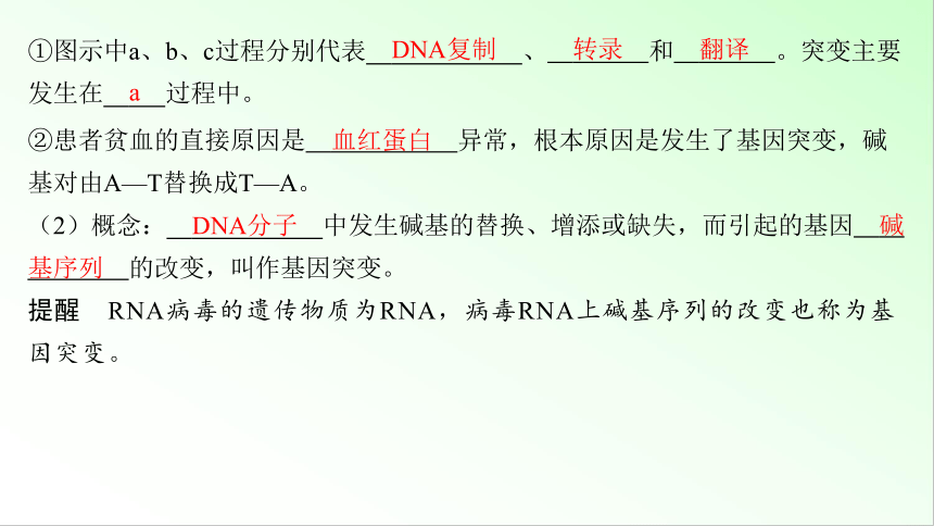 新教材生物一轮复习课件：第7单元 生物的变异和进化 第1讲　基因突变和基因重组(共88张PPT)