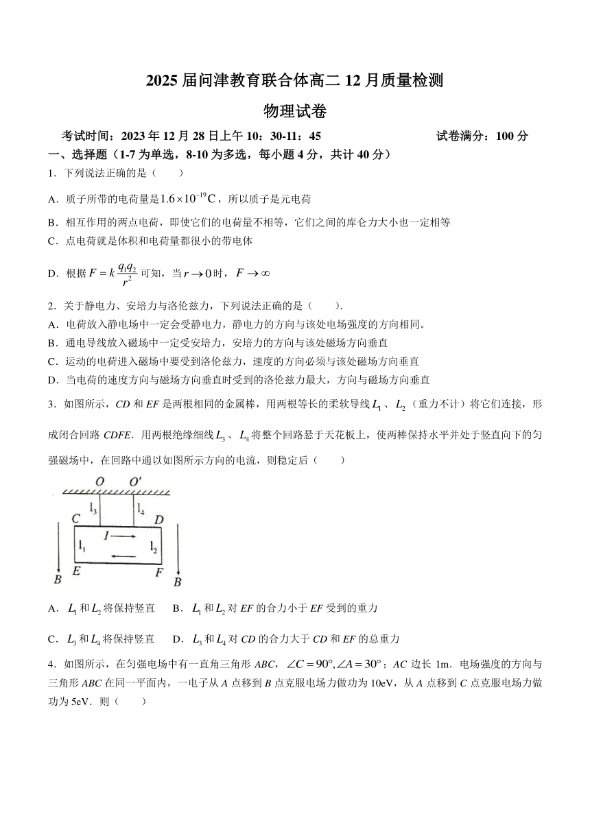 湖北省问津教育联合体2023-2024学年高二上学期12月质量检测物理试卷（含答案）