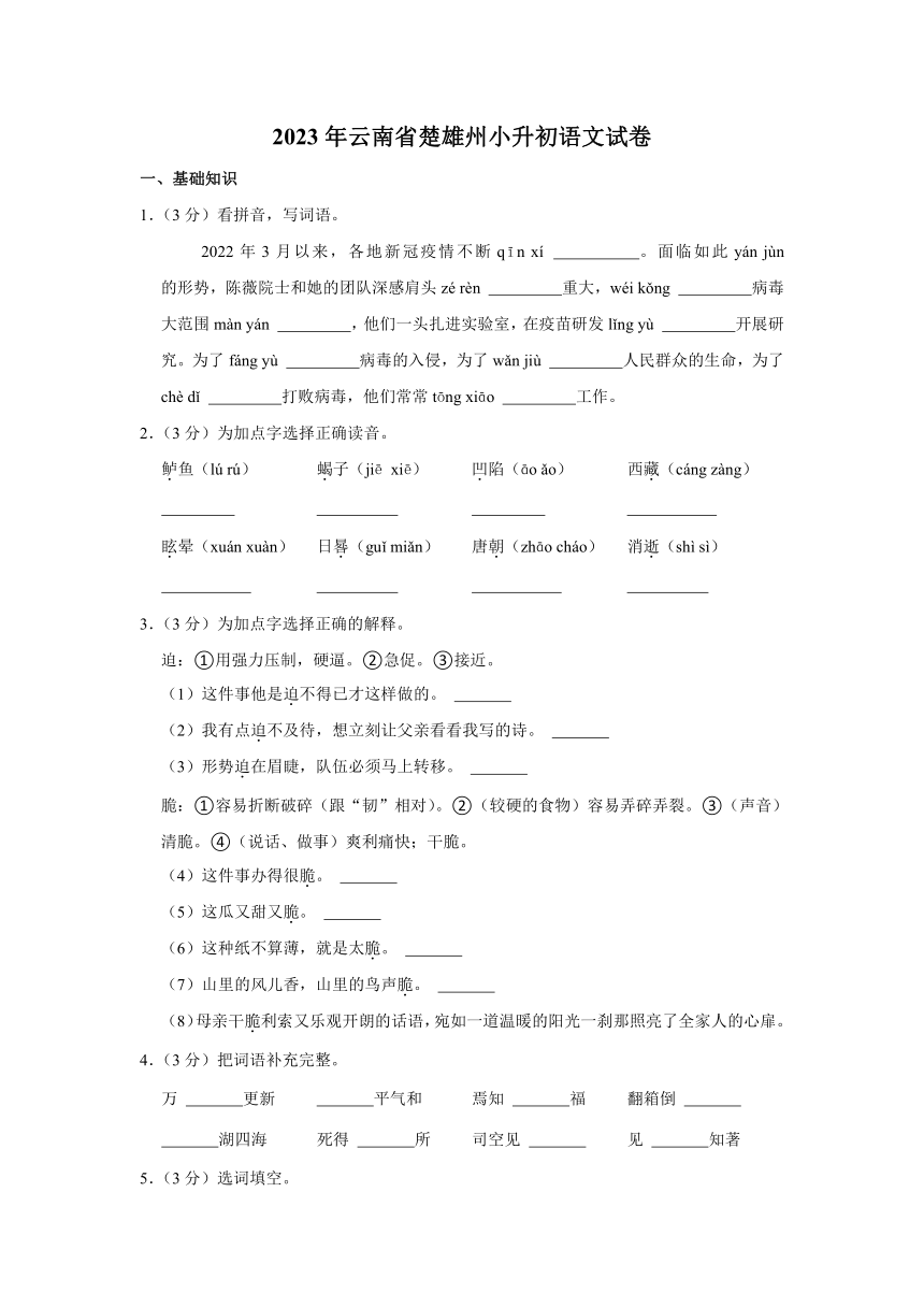 2023年云南省楚雄州小升初语文试卷（含解析）