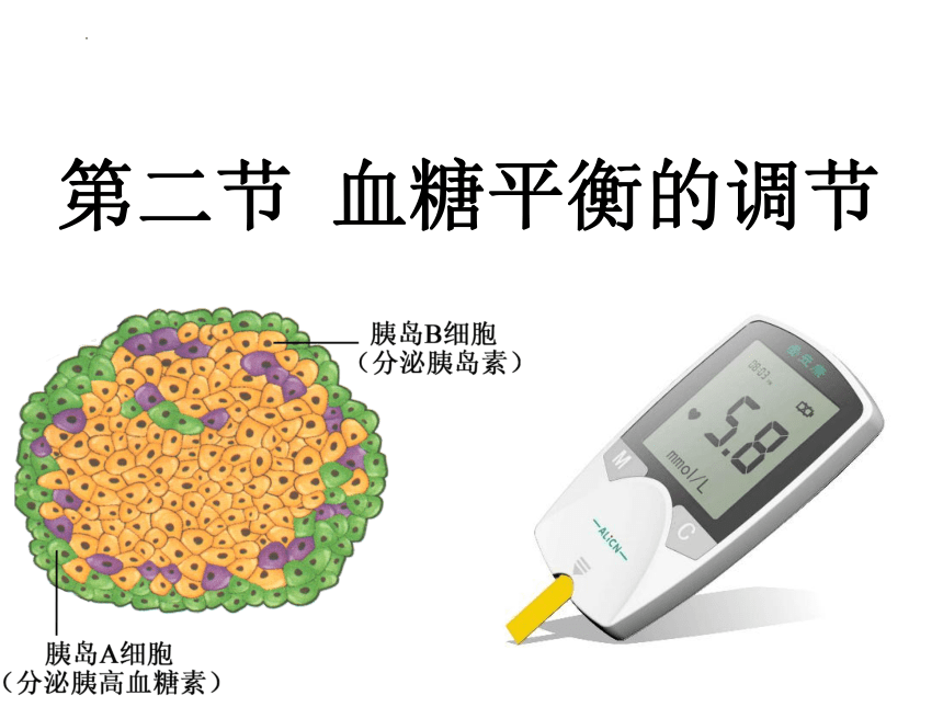 2.2血糖平衡的调节课件（25张）2023-2024学年高二上学期生物苏教版选择性必修1